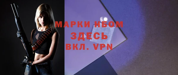 дмт Каменногорск