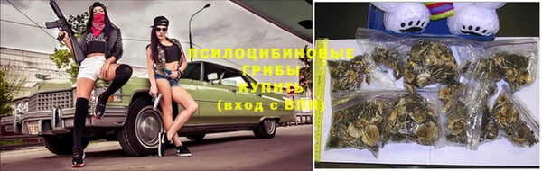 дмт Каменногорск