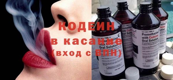 индика Карпинск