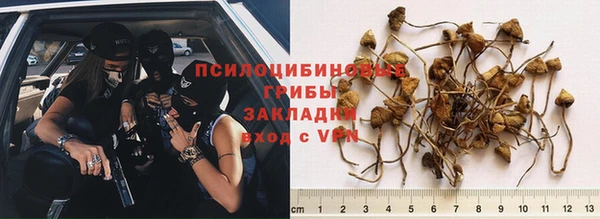 гашиш Каменка